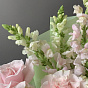 The palette of Spring