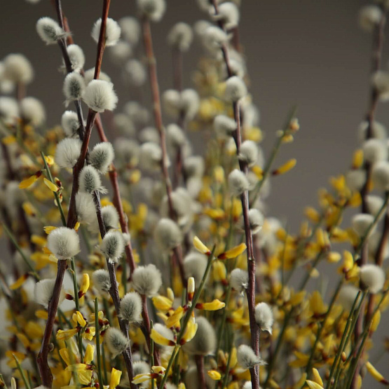 Триобукет «Лимонный марципан»