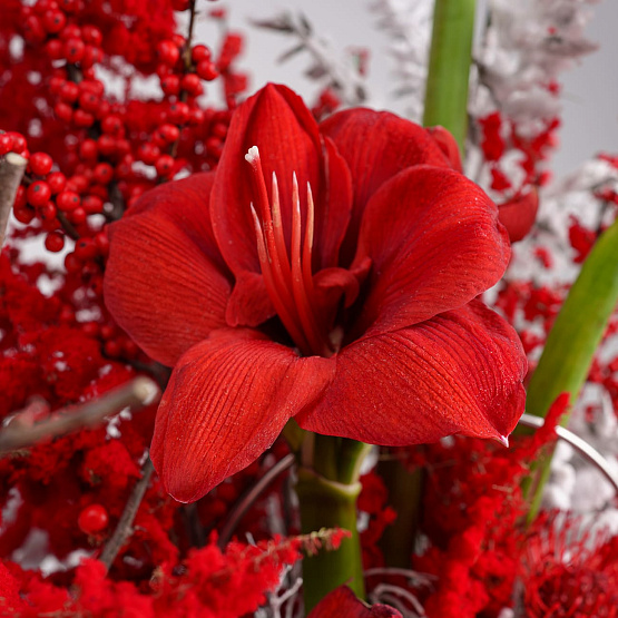 Бидон с цветами «Рубиновая стужа»