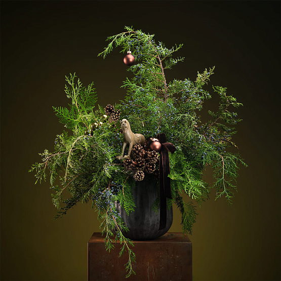 Сет №2 «Тайны леса»