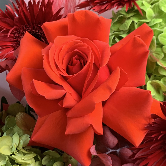 Пламенное послание