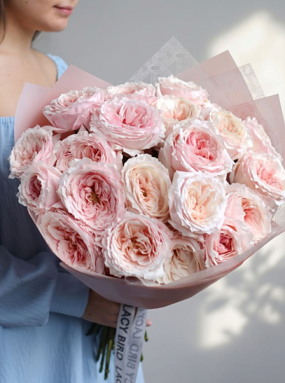Tsumugi Garden Rose