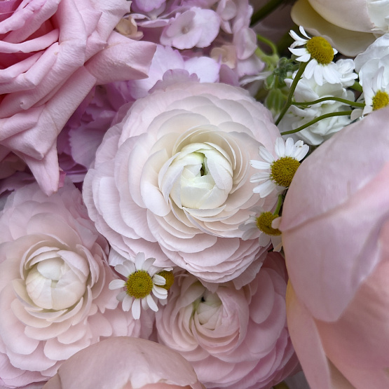 Сицилийская весна