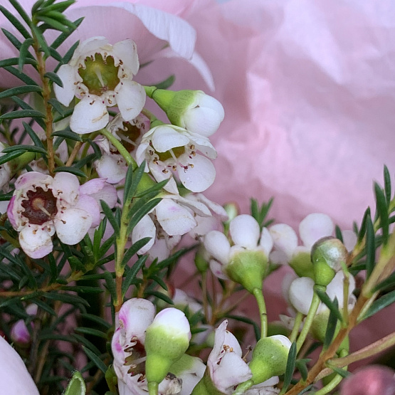 Радостный момент