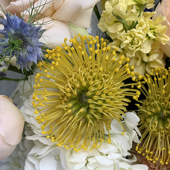 Весенняя мелодия 