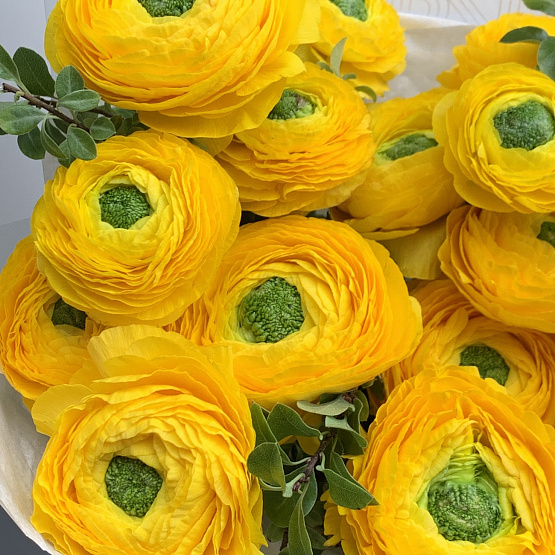 Солнечные кружева