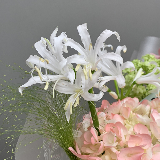 Моменты весны