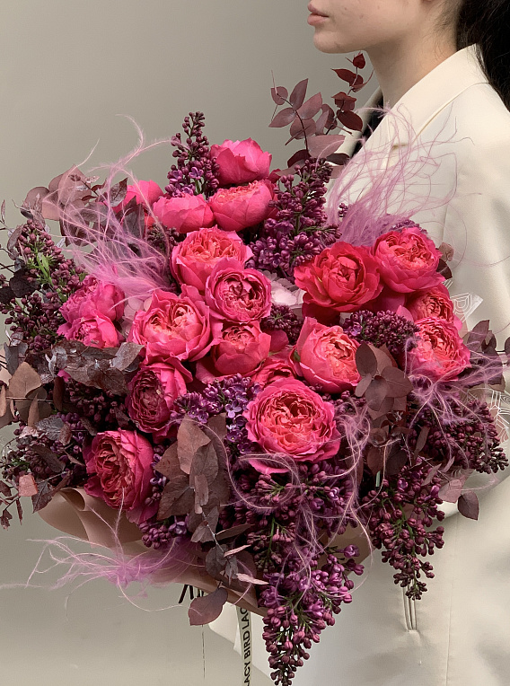 Дымчатая Сиринга