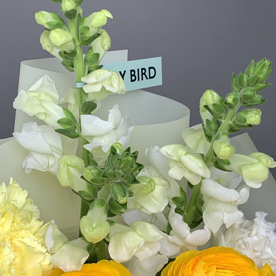 Солнечная весна