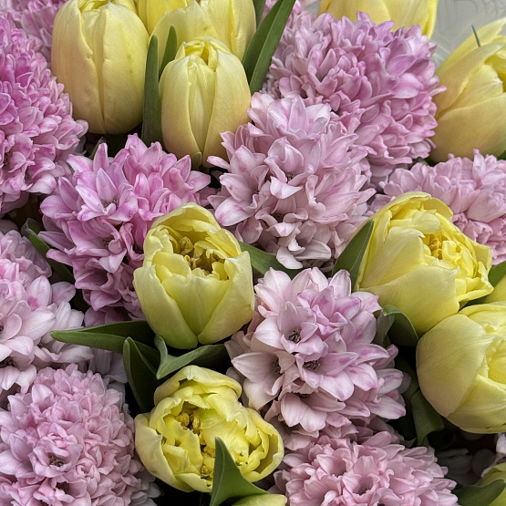 Свежий взгляд 