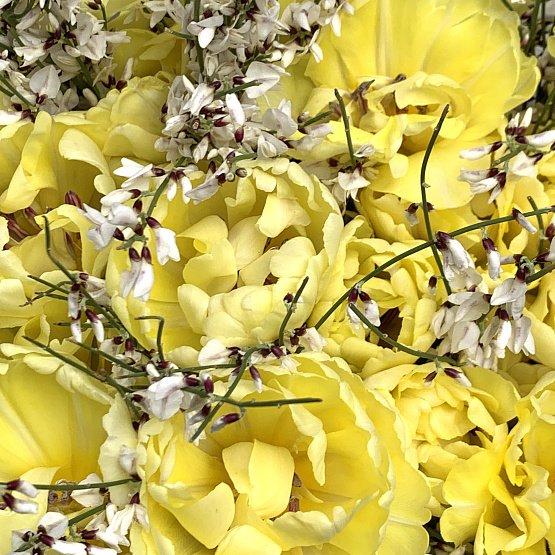 яркое солнце