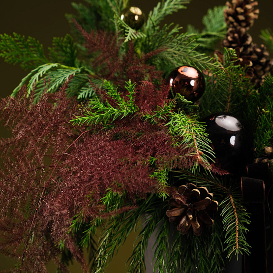 Сет №3 «Тайны леса»