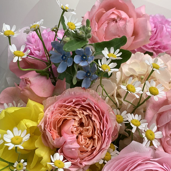 Конфетти солнца