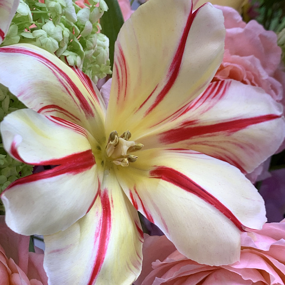 палитра счастья