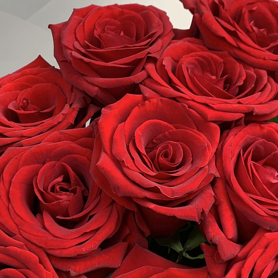 Алая сказка