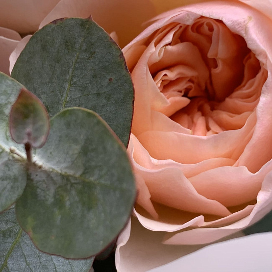 Магия весны