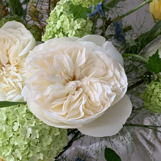 Солнечный всплеск