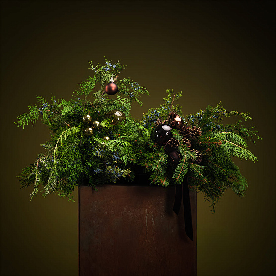 Сет №4 «Тайны леса»