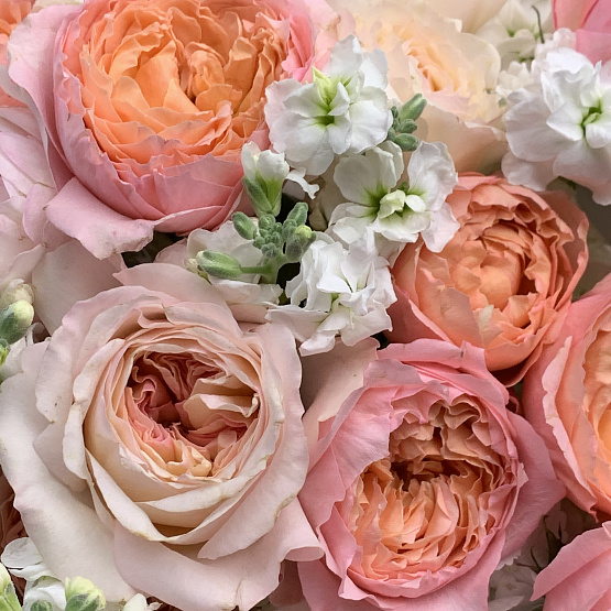 Абрикосовый пудинг 