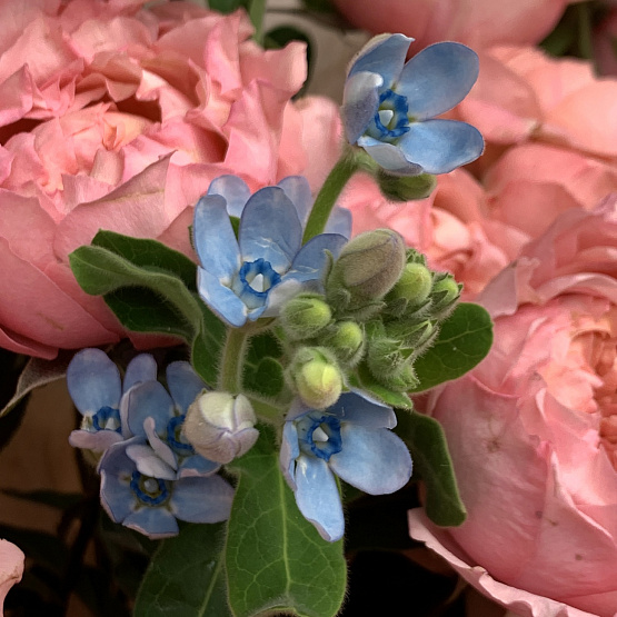 Весенний мотив