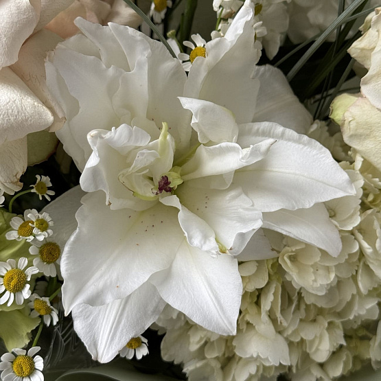 Природное очарование 