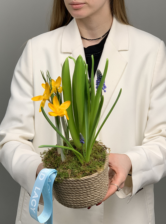 свежий ветерок