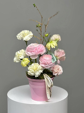 Звучание нежности 