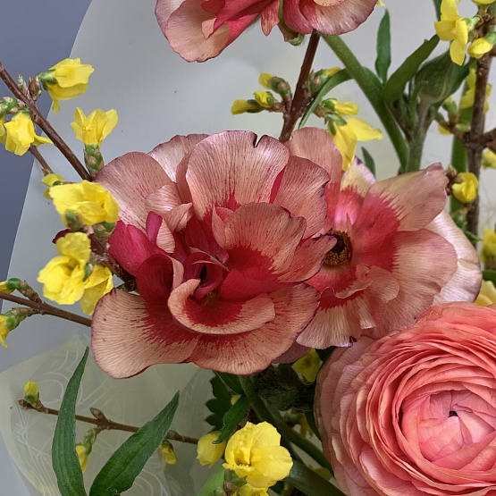 Цветущее мгновение 