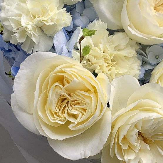 Светящееся облако 