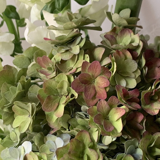 Ручей в горах