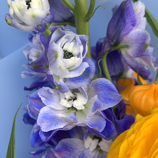 ночной карнавал