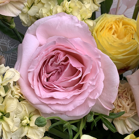 Блики света