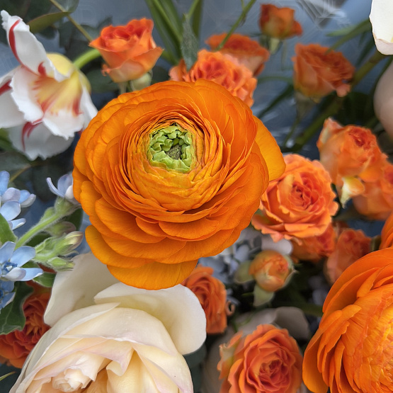 Лазурные тропики