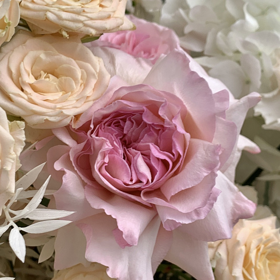 Нежное чудо