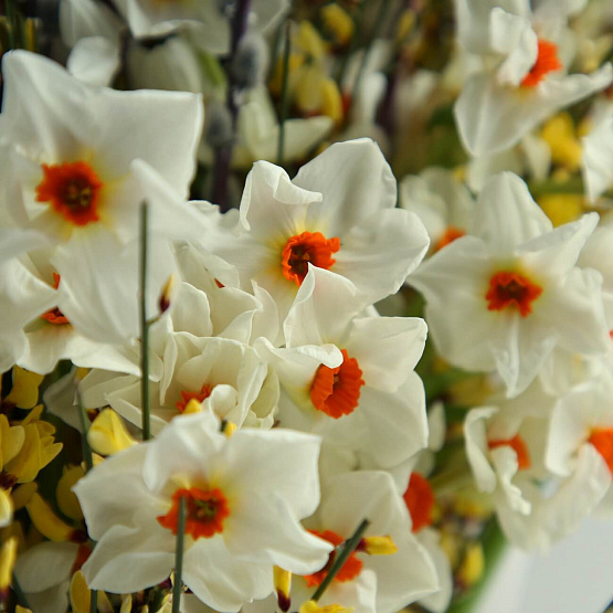 Триобукет «Лимонный марципан»