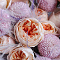 Дуобукет из пионовидных роз и хризантем