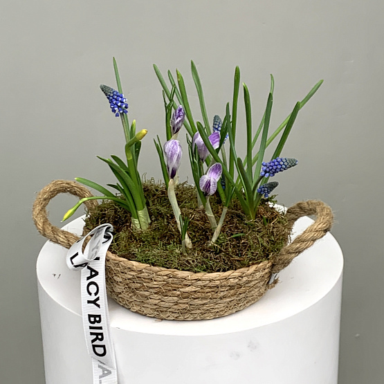 на солнечном склоне