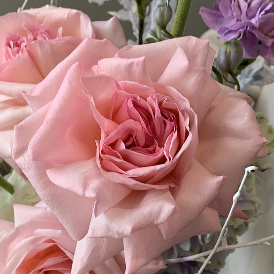 Кристальный рассвет 