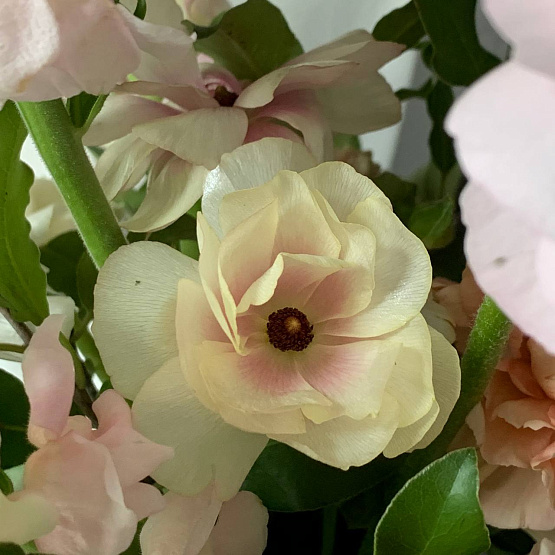 The gentle dawn