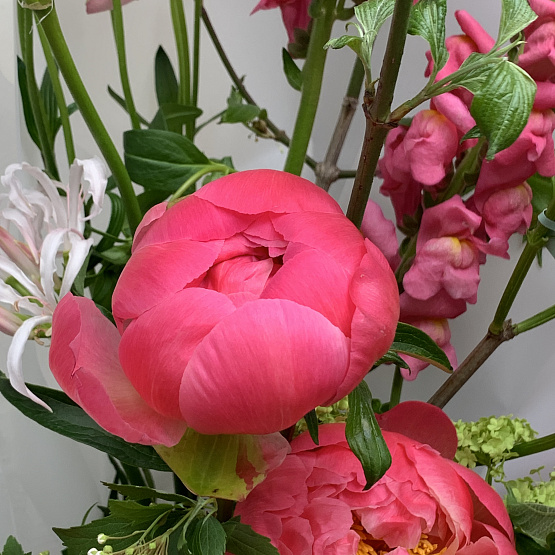 Весенние краски 