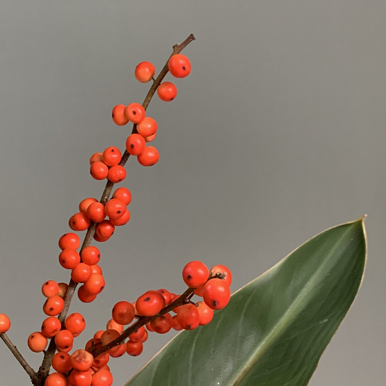 Ноябрьское утро