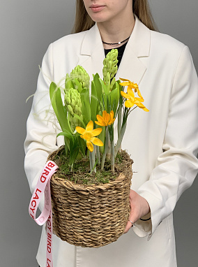 пробуждение весны