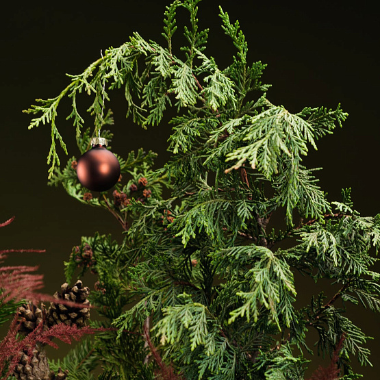 Сет №3 «Тайны леса»