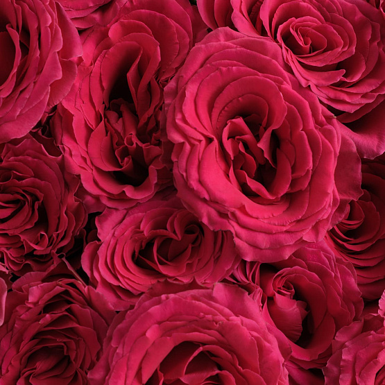 Монобукет «Сердечный аккорд»