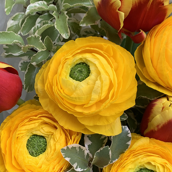 Яркий акцент 