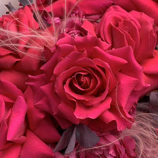 Малиновый закат