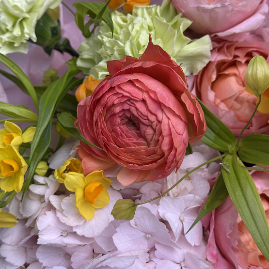 Тропическая весна 