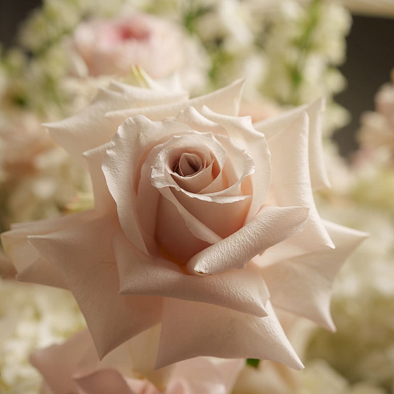 Корзина с цветами «Выражение нежности»