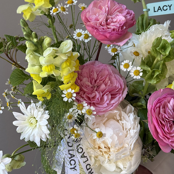Солнечный зайчик