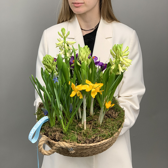 весенняя радость